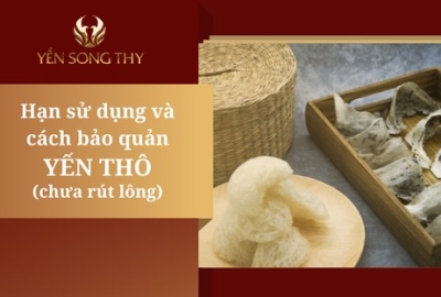 Cách bảo quản yến thô chưa nhặt lông đúng chuẩn