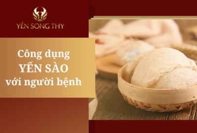 Công dụng Yến Sào đối với người bệnh
