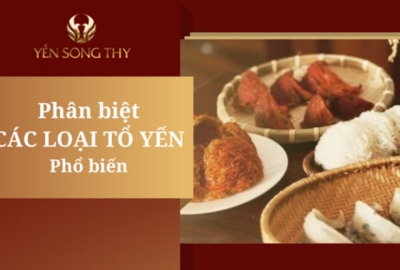 Phân biệt các loại tổ yến hiện nay có trên thị trường