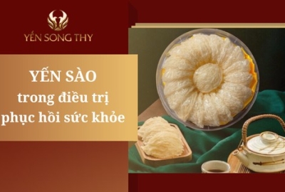 Vai trò của yến sào trong hỗ trợ điều trị và phục hồi sức khỏe